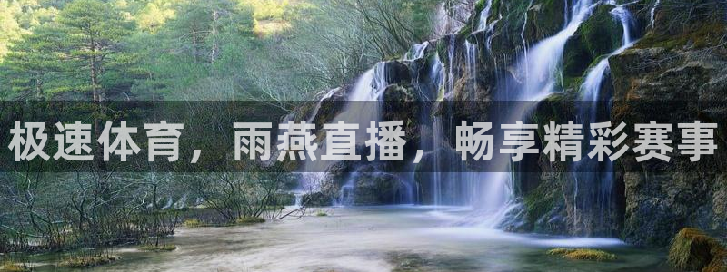 极速体育，雨燕直播，畅享精彩赛事