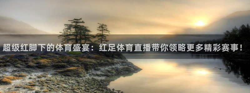 超级红脚下的体育盛宴：红足体育直播带你领略更多精彩赛事！
