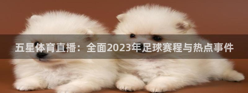 五星体育直播：全面2023年足球赛程与热点事件
