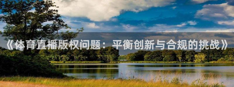 《体育直播版权问题：平衡创新与合规的挑战》