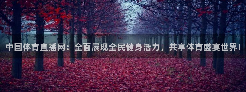 中国体育直播网：全面展现全民健身活力，共享体育盛宴世界!
