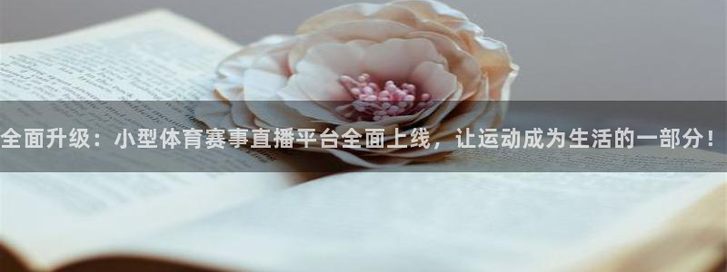 全面升级：小型体育赛事直播平台全面上线，让运动成为生活的一部分！